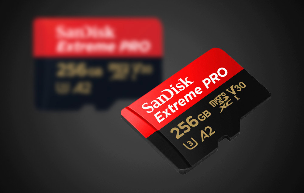 SANDISK-SDSQXCD-256G-GN6MA