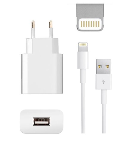 Зарядка iPhone, iPad: Кабель 1m Lightning + Адаптер 1xUSB 2.1A