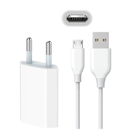 Charger Micro USB: Cable 2m + Adapter 1xUSB 1A
