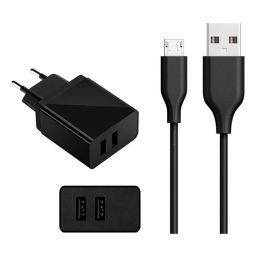 Charger Micro USB: Cable 2m + Adapter 2xUSB, up to 10W